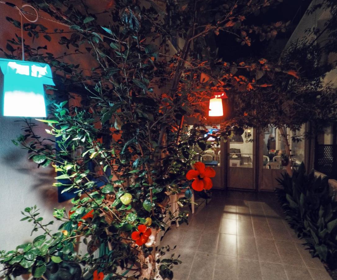 Miss Hotel Karya Oren  Luaran gambar